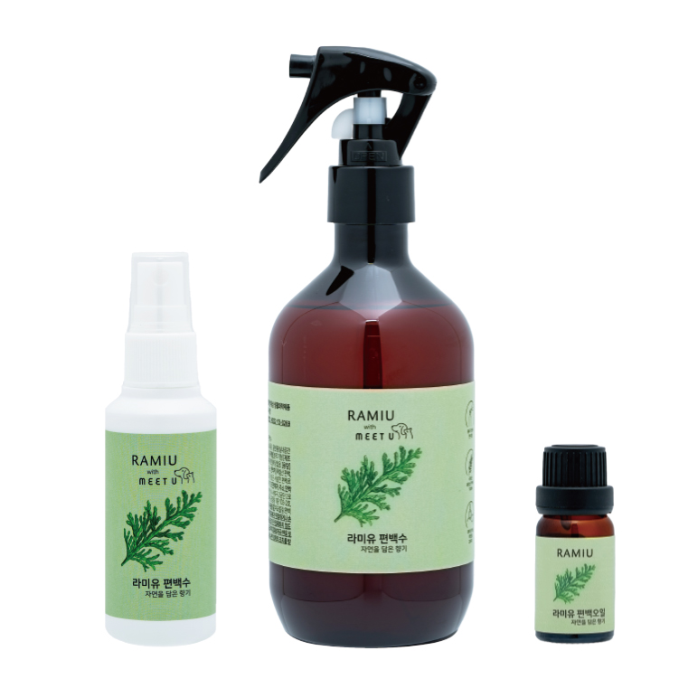 ����� / �������