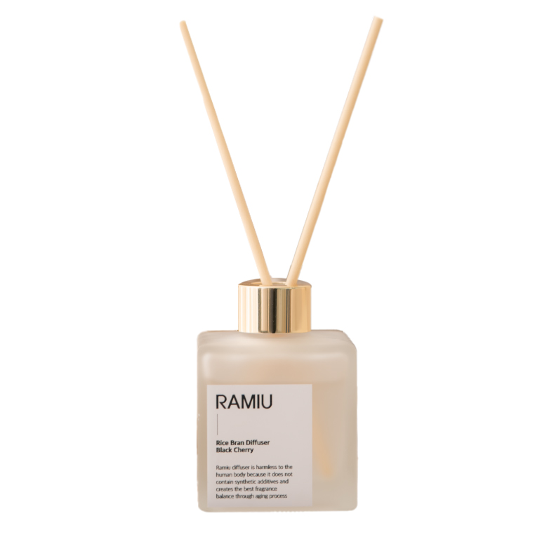 RAMIU ��ǻ��